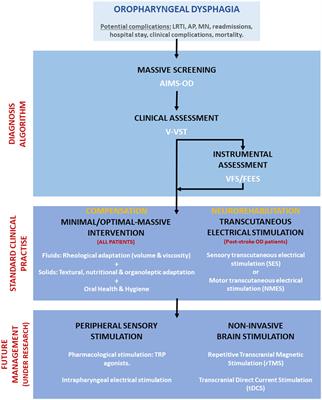 Complications of oropharyngeal dysphagia in older individuals and patients with neurological disorders: insights from Mataró hospital, Catalonia, Spain